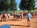 volejbal ženy 06 (34).jpg